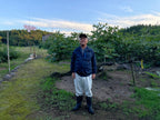 秋茗荷｜色が濃くて大きい天然もの