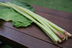 秋田蕗（由利本荘市産）500g