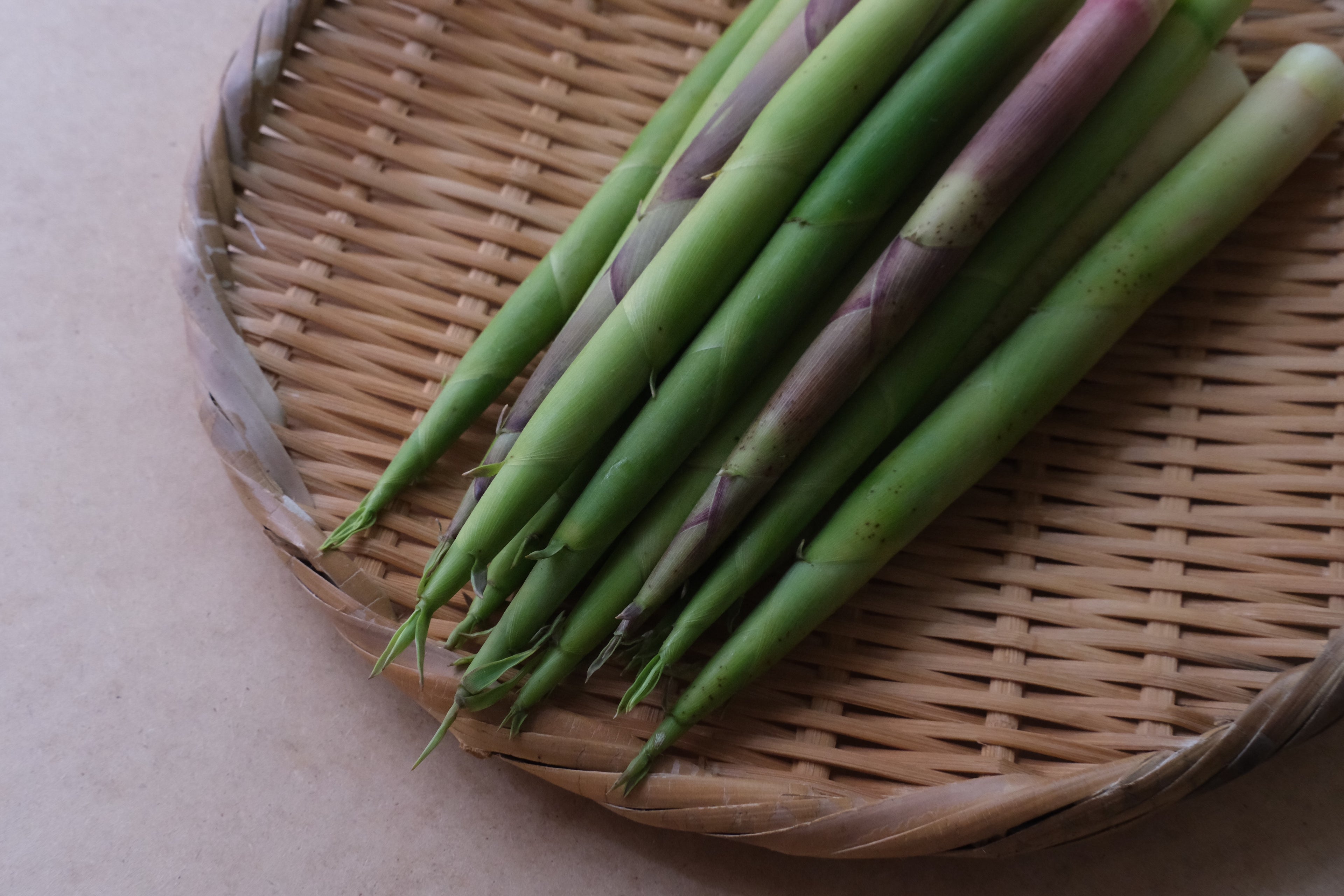 ねまがりだけ（由利本荘市産）200g