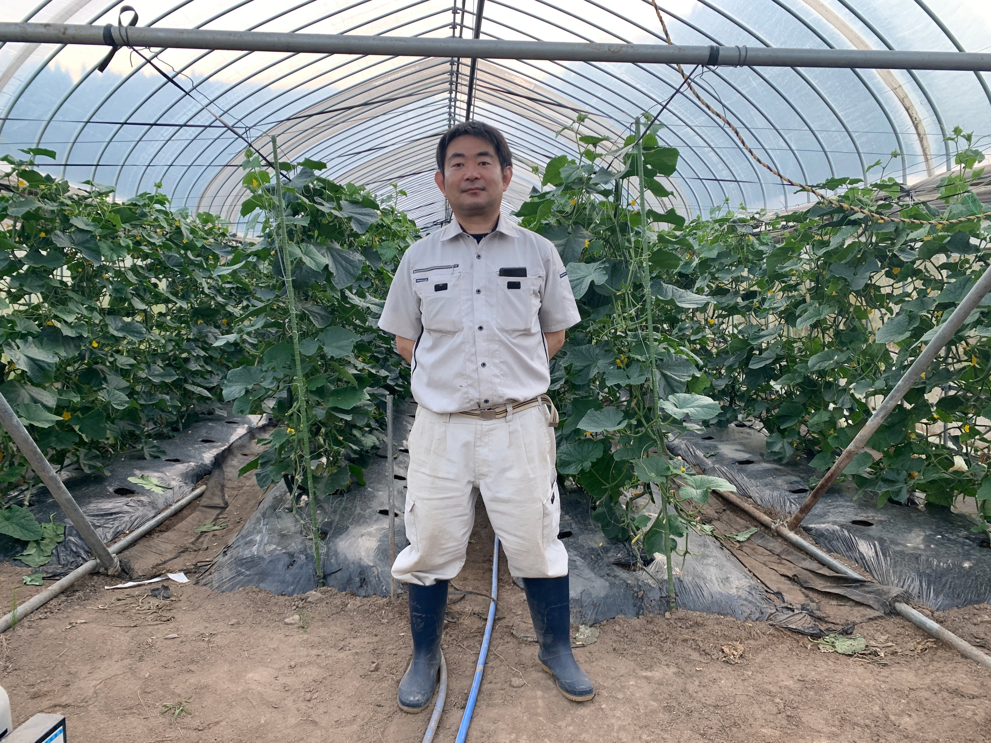 ひもとうがらし(秋田市産)200g